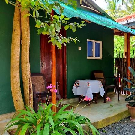 Helena Holiday Cottage ديكويلاّ تين المظهر الخارجي الصورة