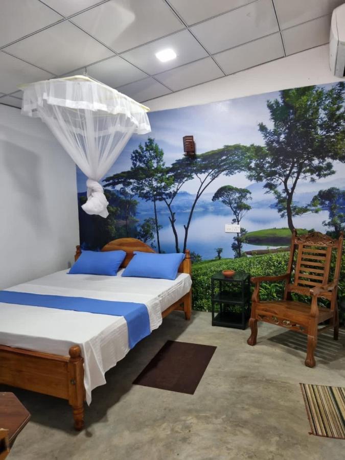 Helena Holiday Cottage ديكويلاّ تين المظهر الخارجي الصورة