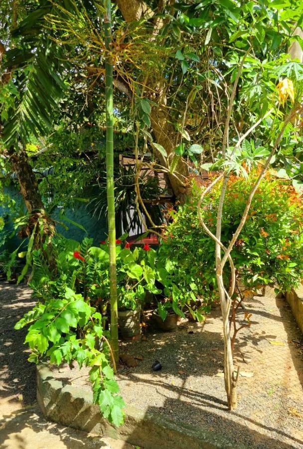 Helena Holiday Cottage ديكويلاّ تين المظهر الخارجي الصورة