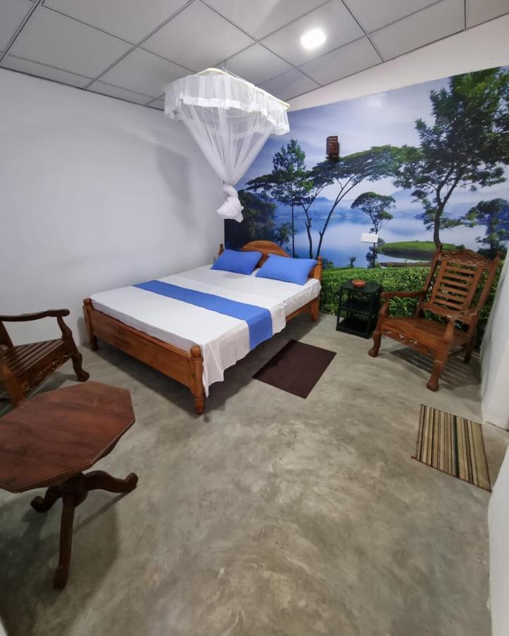 Helena Holiday Cottage ديكويلاّ تين المظهر الخارجي الصورة
