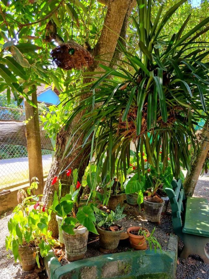 Helena Holiday Cottage ديكويلاّ تين المظهر الخارجي الصورة